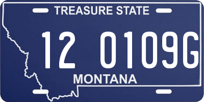 MT license plate 120109G