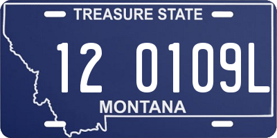 MT license plate 120109L