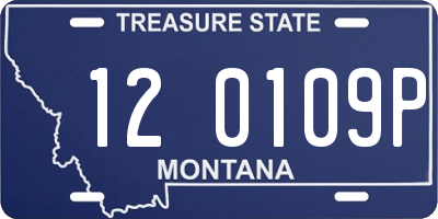 MT license plate 120109P