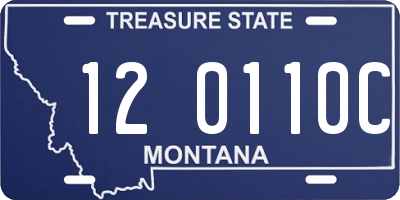 MT license plate 120110C