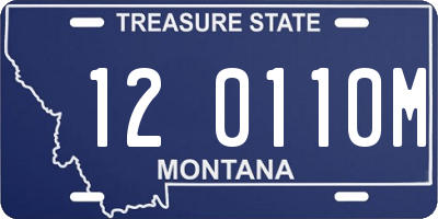 MT license plate 120110M