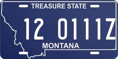 MT license plate 120111Z