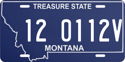 MT license plate 120112V