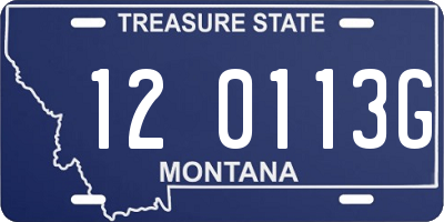 MT license plate 120113G