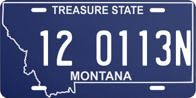 MT license plate 120113N