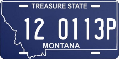 MT license plate 120113P
