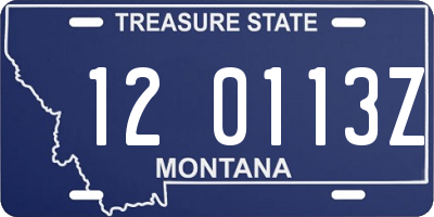 MT license plate 120113Z