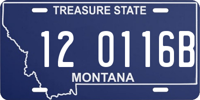 MT license plate 120116B