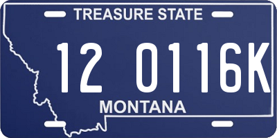 MT license plate 120116K