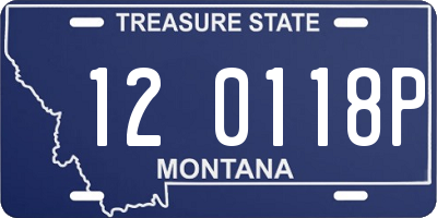MT license plate 120118P