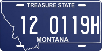 MT license plate 120119H