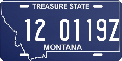 MT license plate 120119Z