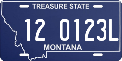 MT license plate 120123L