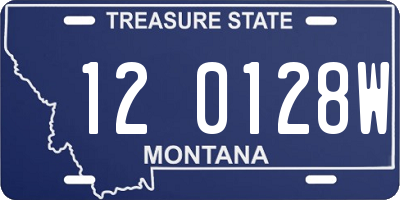 MT license plate 120128W