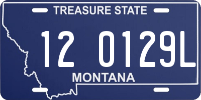 MT license plate 120129L