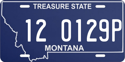 MT license plate 120129P