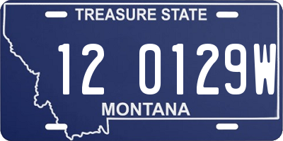MT license plate 120129W