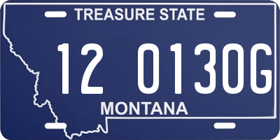 MT license plate 120130G