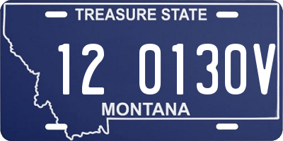 MT license plate 120130V