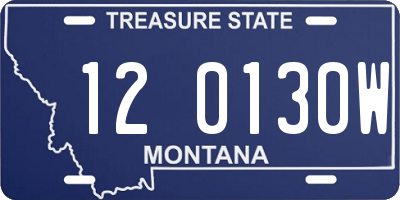 MT license plate 120130W