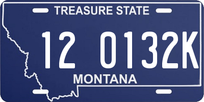 MT license plate 120132K