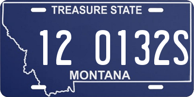 MT license plate 120132S