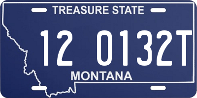 MT license plate 120132T