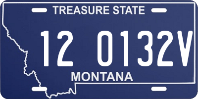 MT license plate 120132V