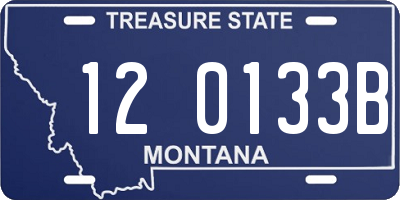 MT license plate 120133B