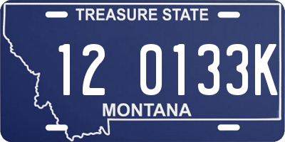MT license plate 120133K
