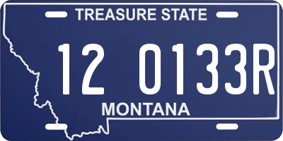 MT license plate 120133R