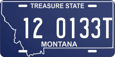 MT license plate 120133T