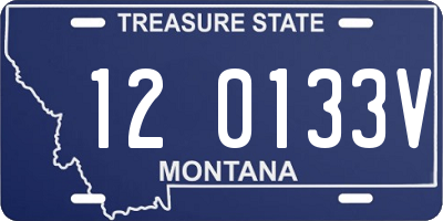 MT license plate 120133V