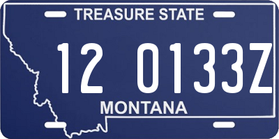 MT license plate 120133Z