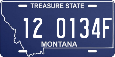 MT license plate 120134F