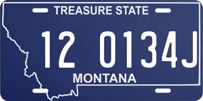MT license plate 120134J