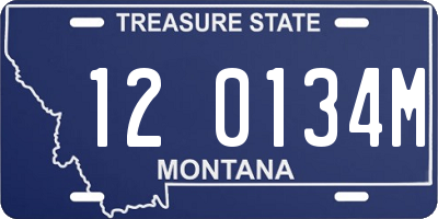 MT license plate 120134M