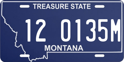 MT license plate 120135M