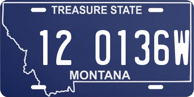 MT license plate 120136W
