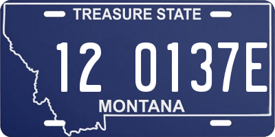 MT license plate 120137E