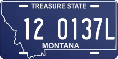 MT license plate 120137L