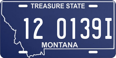 MT license plate 120139I