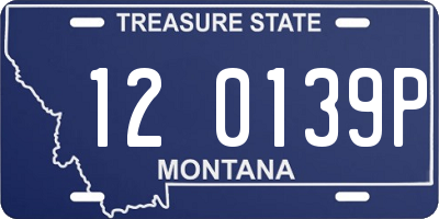 MT license plate 120139P