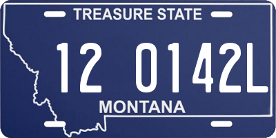 MT license plate 120142L