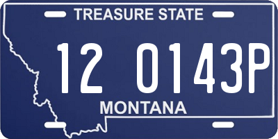 MT license plate 120143P