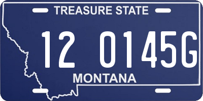 MT license plate 120145G