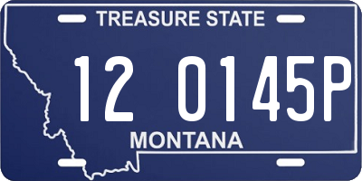 MT license plate 120145P