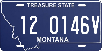 MT license plate 120146V