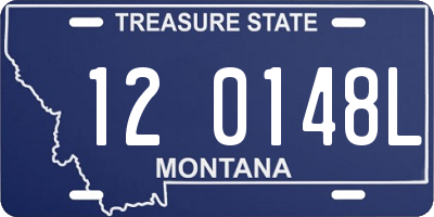 MT license plate 120148L