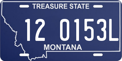 MT license plate 120153L